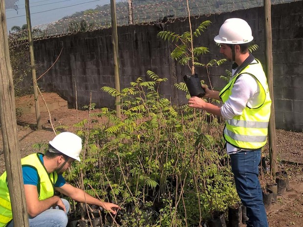 Gabriel Estevam Domingos, de 28 anos, à direita, prepara mudas para o plantio. O engenheiro ambiental e empreendedor concebeu o aplicativo que orienta o usuário a neutralizar o carbono gerado por meio do plantio (Foto: Divulgação/GED Inovação)