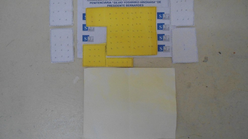 Apreensões de maconha sintética aumentaram quase 700% na região de Presidente Prudente — Foto: SAP