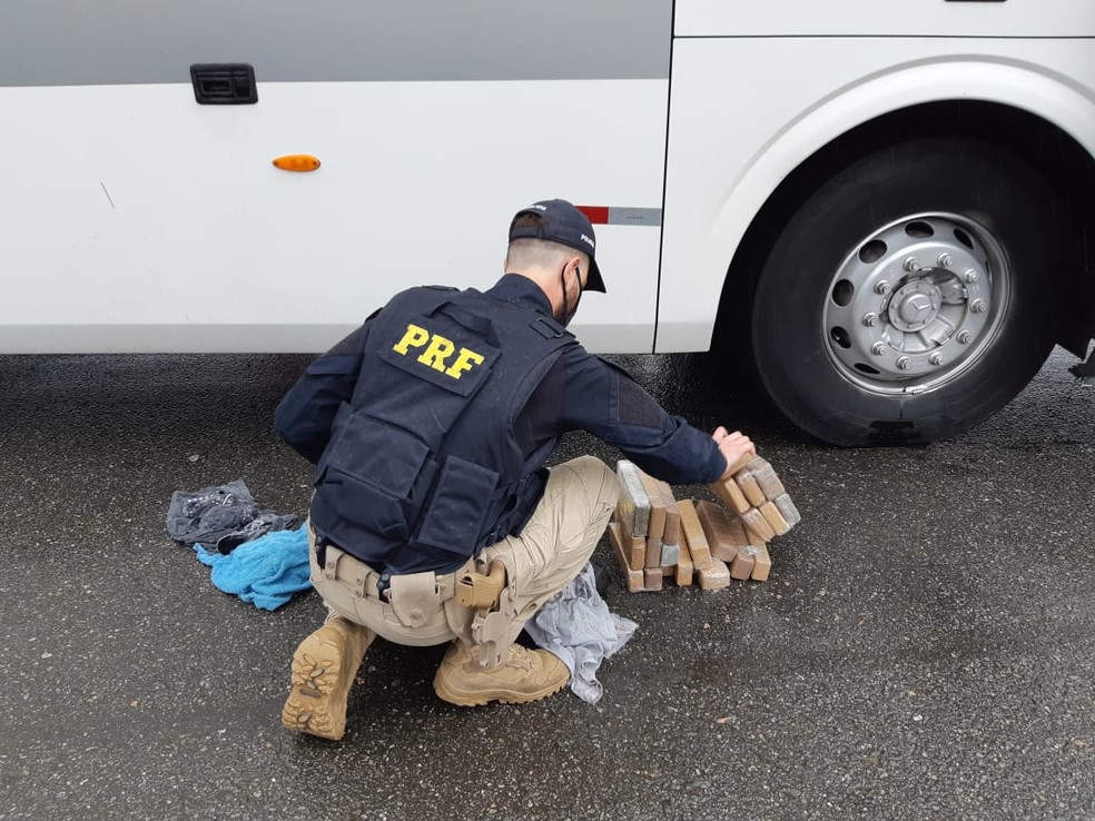 Policiais conseguiram apreender 81,2 kg de maconha — Foto: Divulgação/Polícia Rodoviária Federal 