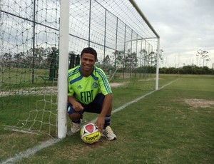 Diego Souza Palmeiras (Foto: divulgação)