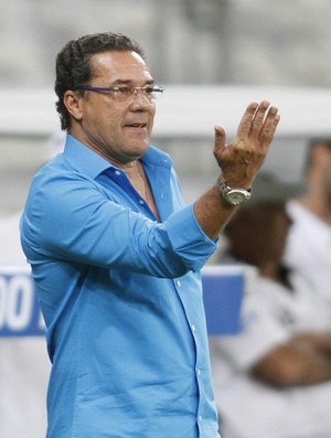 Vanderlei Luxemburgo, técnico do Cruzeiro (Foto: Gil Leonardi / Light Press)