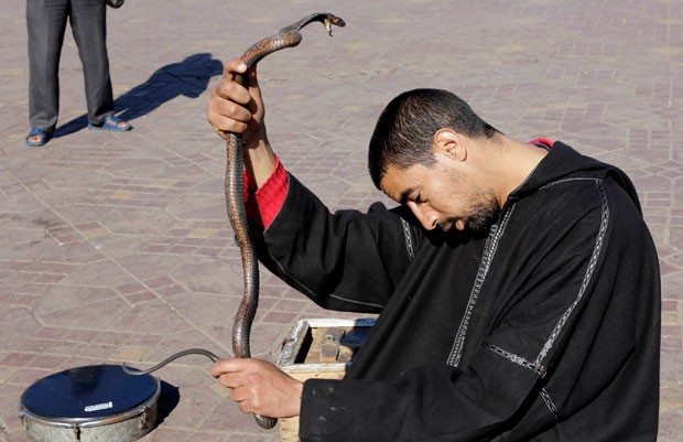 Um encantador de cobras parecia pedir 'perdão' para uma serpente enquanto segurava o réptil durante uma apresentação na praça Djemaa El Fna, em Marrakesh, no Marrocos (Foto: Youssef Boudlal/Reuters)