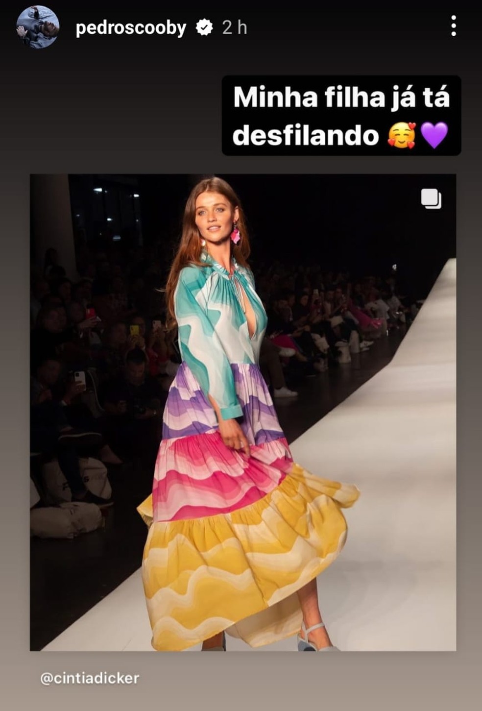 Pedro Scooby contou que será pai de mais uma menina no Instagram Stories — Foto: Instagram