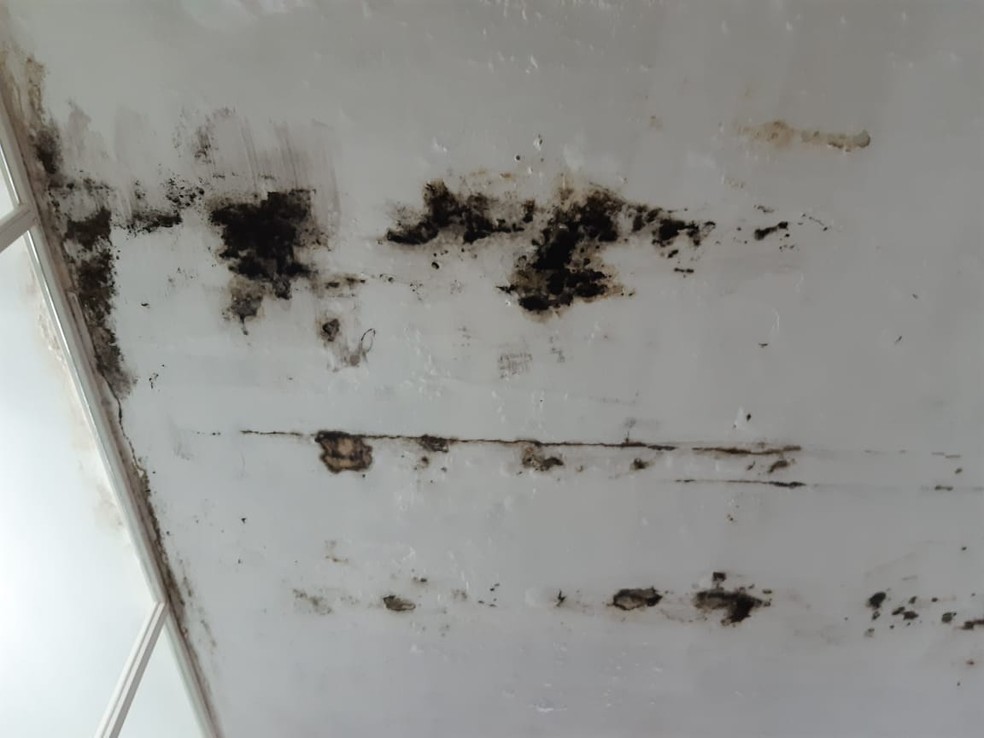 Paredes do HEA, em Arapiraca, estão mofadas — Foto: Sindprev