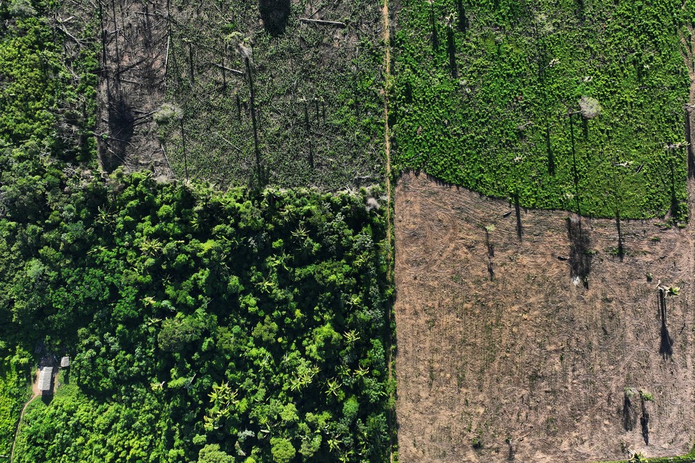 Os alertas são feitos pelo Sistema de Detecção de Desmatamento em Tempo Real (Deter), que produz sinais diários de alteração na cobertura florestal para áreas maiores que 3 hectares (0,03 km²) — Foto: Ueslei Marcelino/Reuters