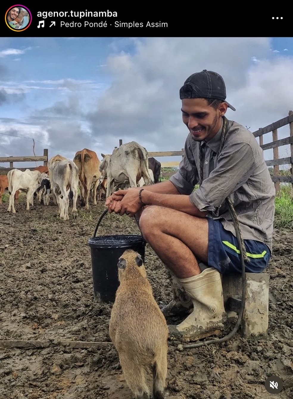 Fazendeiro Agenor Tupinambá publica dia a dia na fazenda do AM, acompanhado da companheira Filó. — Foto: Reprodução/Redes Sociais