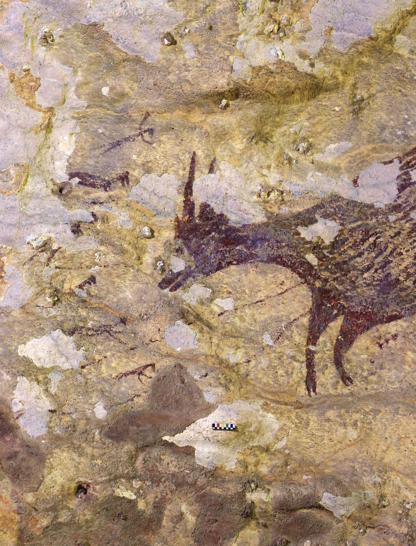 'Obra de arte' rupestre de 44 mil anos é encontrada em caverna na Indonésia (Foto: Nature/University of Griffith)