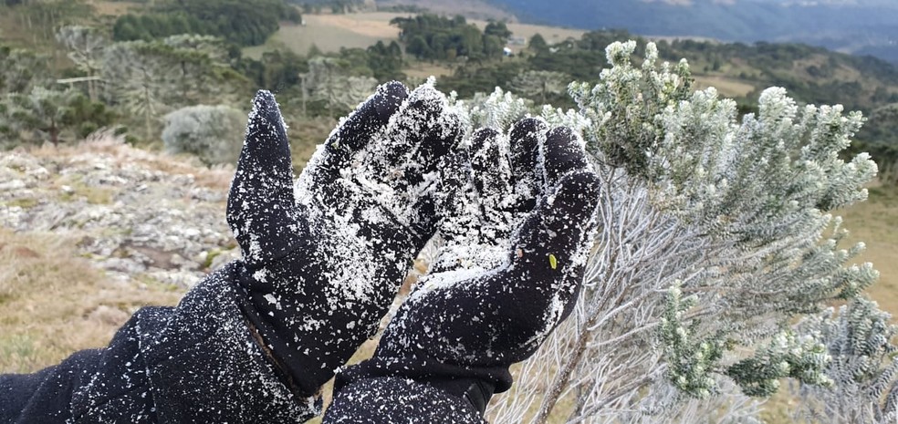 Flocos de neve nas plantas e na luva do morador de São Joaquim — Foto:  Mycchel Legnaghi/São Joaquim Online