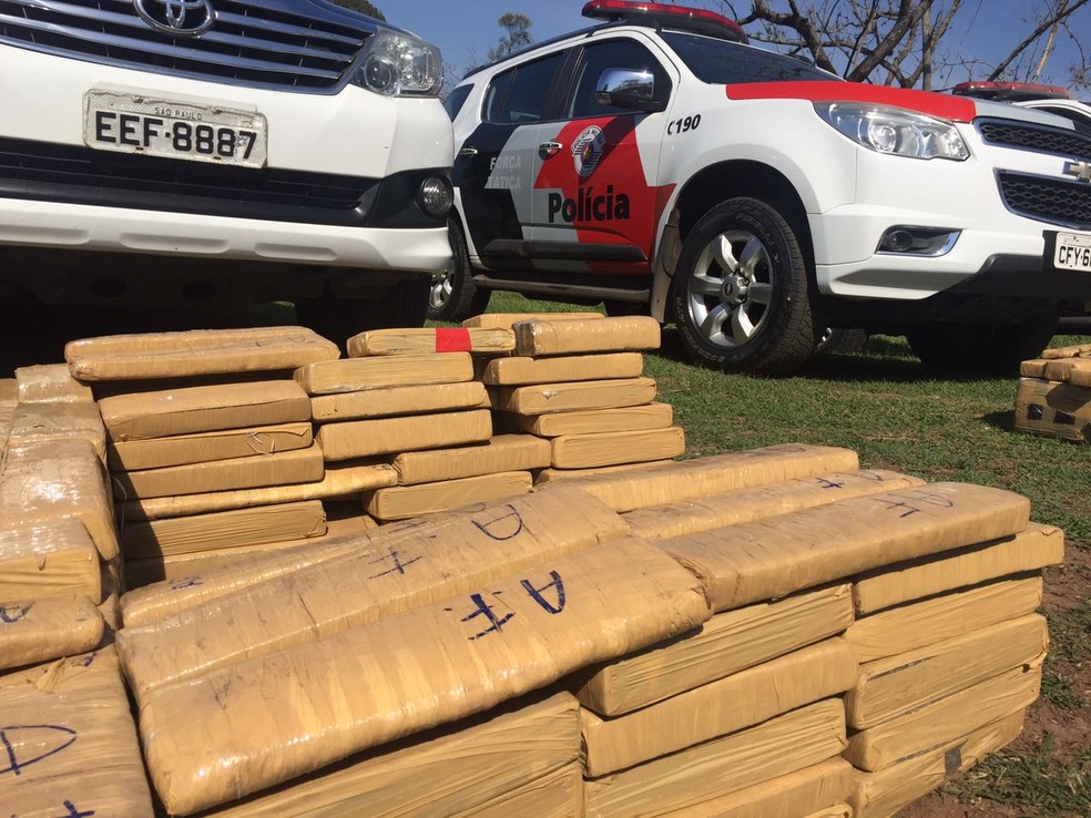Maconha foi apreendida em sítio em Presidente Prudente (Foto: Murilo Zara/TV Fronteira)