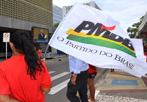 Militante segura bandeira do PMDB (Foto: Divulgação)