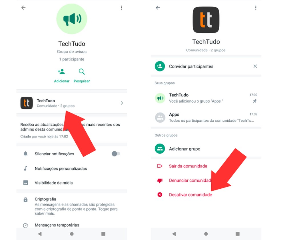 Ao tocar em "Desativar comunidade", todos os dados serão apagados, como admins e informações sobre grupos — Foto: Reprodução/Mariana Tralback