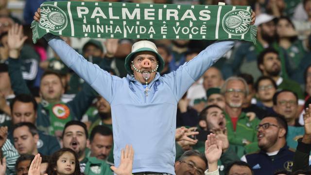 Torcida do Palmeiras na arena