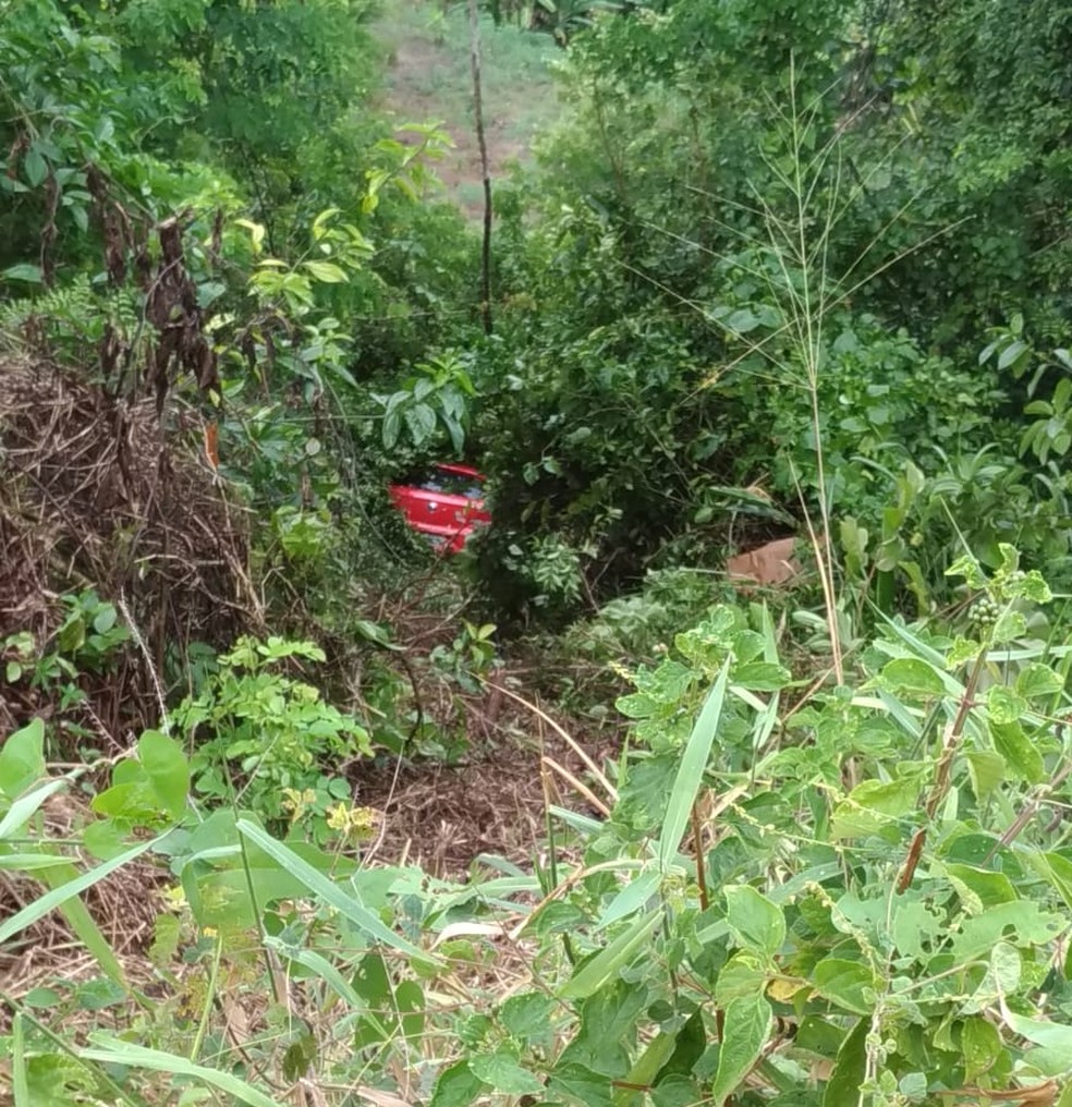 Carro saiu da pista e caiu na ribanceira — Foto: Ascom/Bombeiros