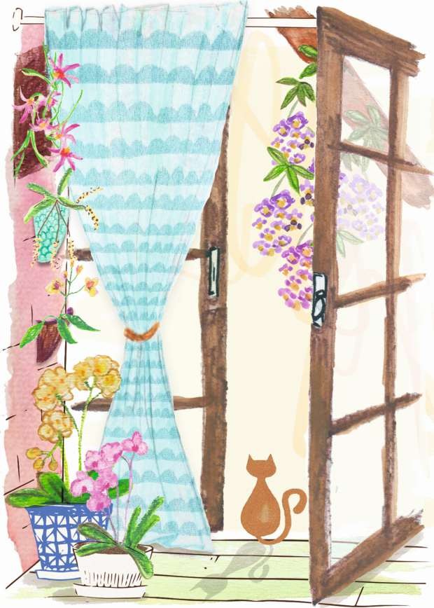 Ilustração de orquídeas (Foto: Patrícia Sodré/Editora Globo)