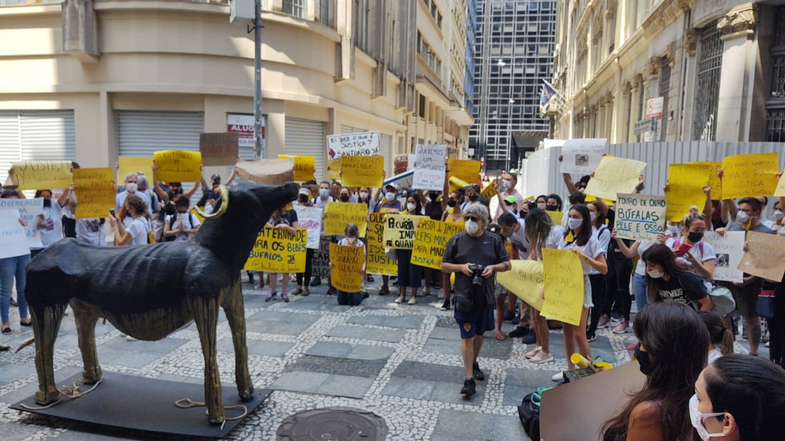 Manifestantes levaram estátua de uma búfula magra para substituir imagem de touro viril exposta na B3 na última semana (Foto: Divulgação)