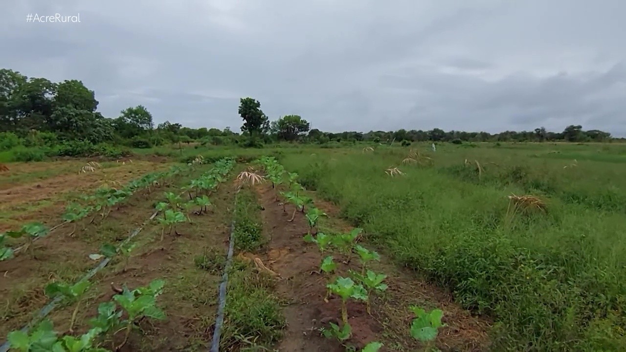 VÍDEOS: Acre Rural de domingo, 5 de fevereiro