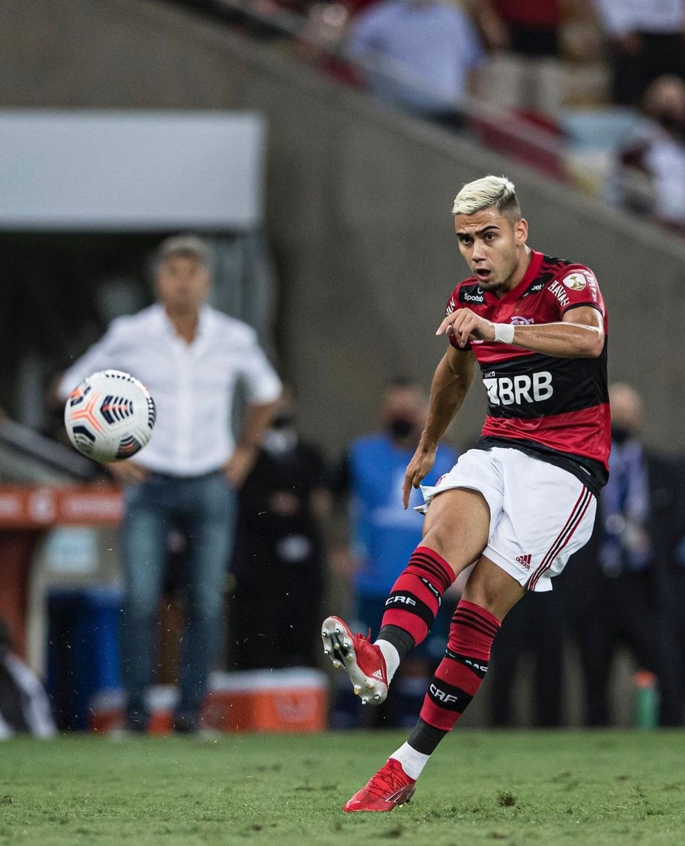 Andreas Pereira faz lanamento longo observado por Renato em jogo do Flamengo  Foto: Andr Mouro / Foto FC