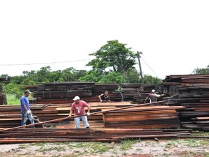 A madeira será destinada à construção de marombas, estrutura de madeira para levantar o assoalho das casas. (Foto: Divulgação/Prefeitura de Terra Santa)