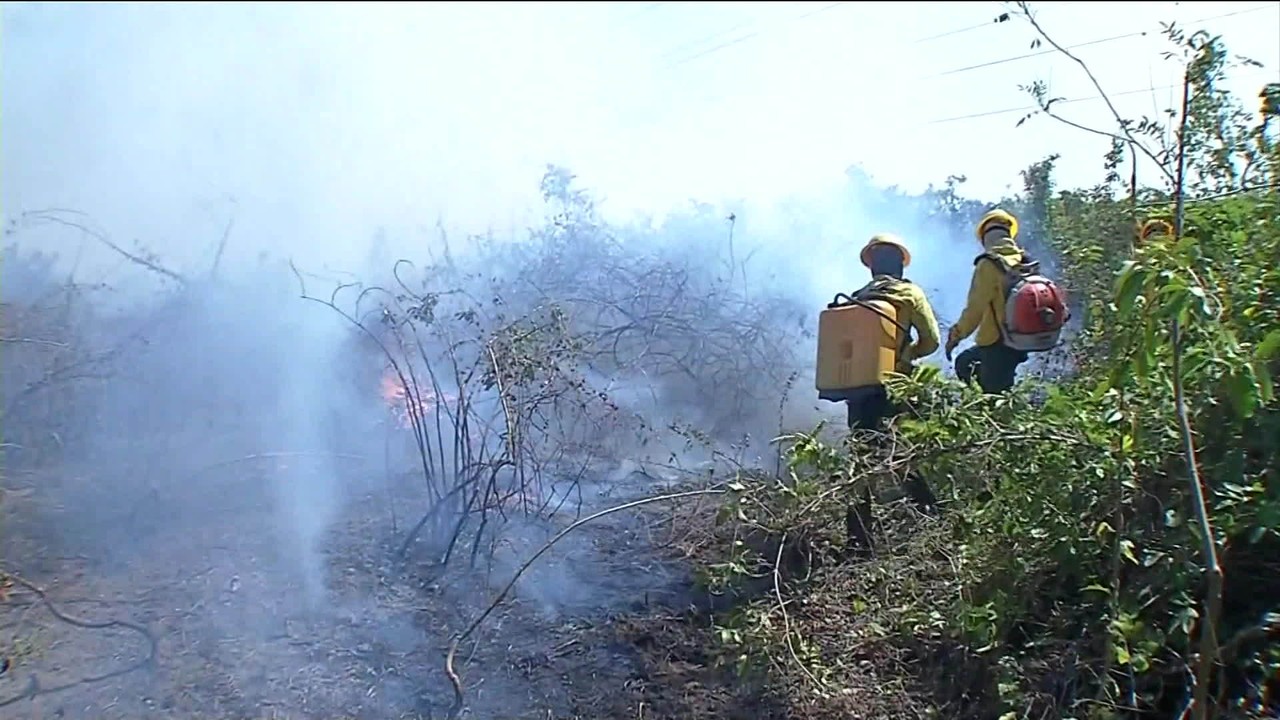 Governo federal reconhece situação de emergência em MS por incêndios no Pantanal