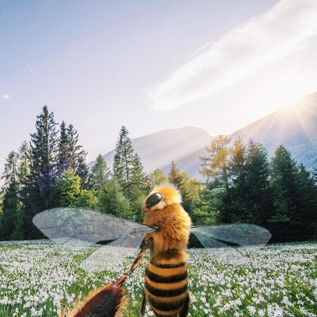 B, a primeira abelha digital influencer (Foto: Reprodução/Instagram)