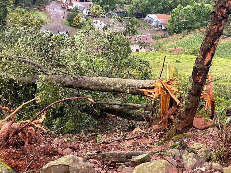 Tornado deixou rastro de destruição em cidades de Santa Catarina. — Foto: Defesa Civil/Divulgação