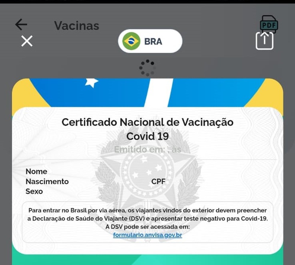 Aplicativo Conecte SUS apresenta instabilidade, e brasileiros não conseguem emitir certificado de vacinação — Foto: Reprodução