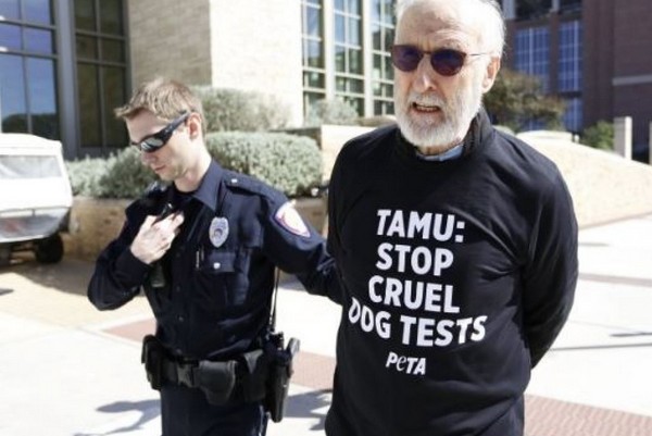 O ator James Cromwell sendo detido em meio a seu protesto na Texas AM University (Foto: Peta)