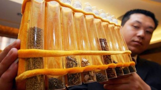 A China lançou milhares de sementes ao espaço a bordo de espaçonaves na esperança de desenvolver safras novas e melhores (Foto: GETTY IMAGES (via BBC))