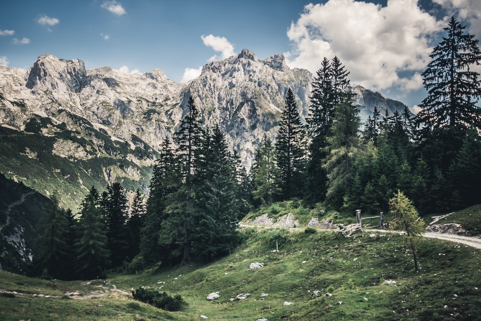Florestas e montanhas na Áustria — Foto: Thomas Q/Unsplash