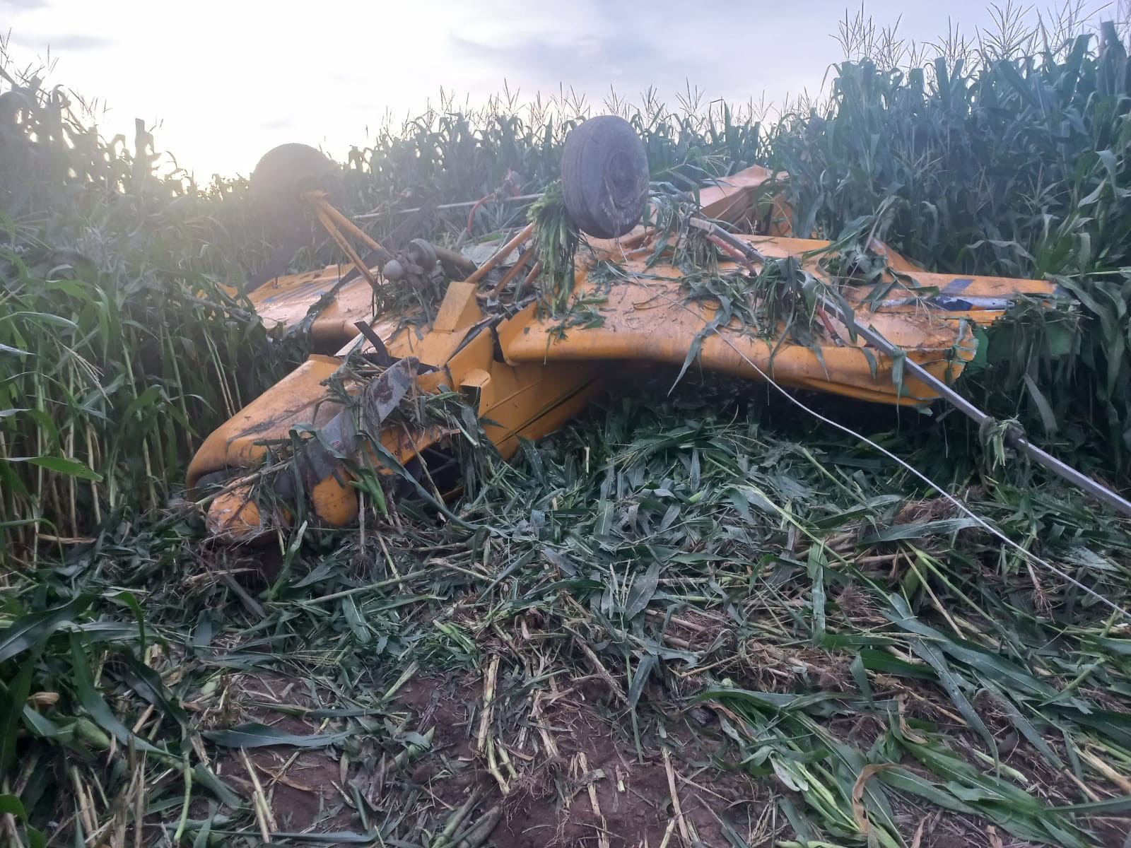 Avião agrícola bate em fio de alta tensão e cai em MT 