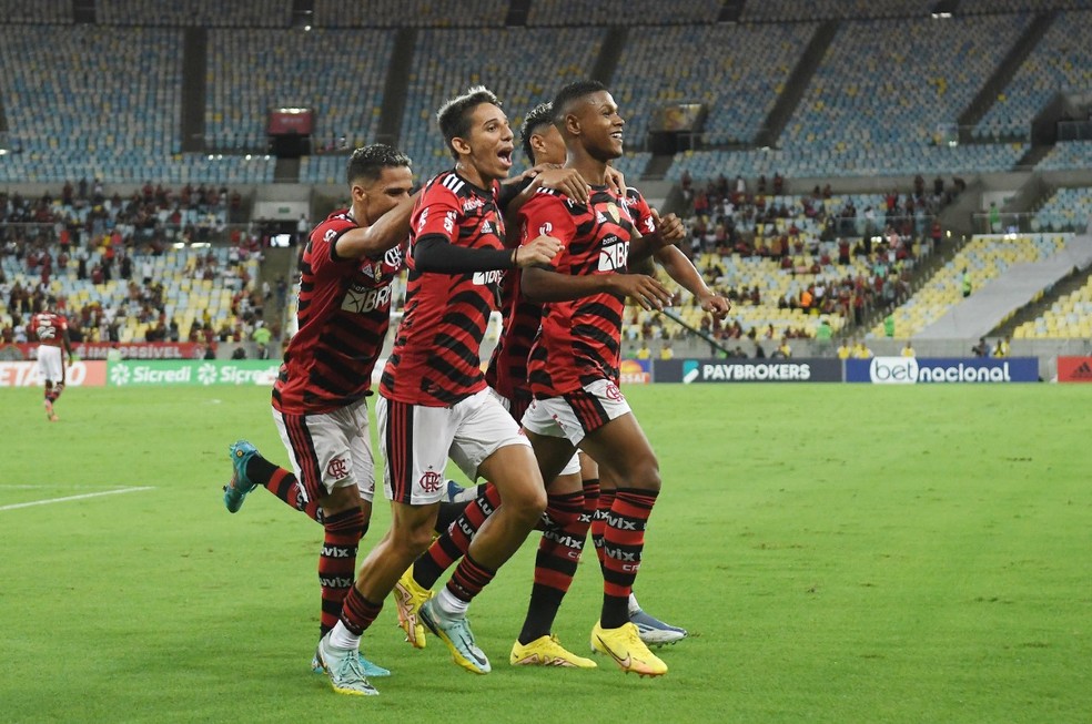 Jogadores do Flamengo comemoram o gol de Matheus Fran&ccedil;a em Flamengo x Audax &mdash; Foto: Alexandre Dur&atilde;o