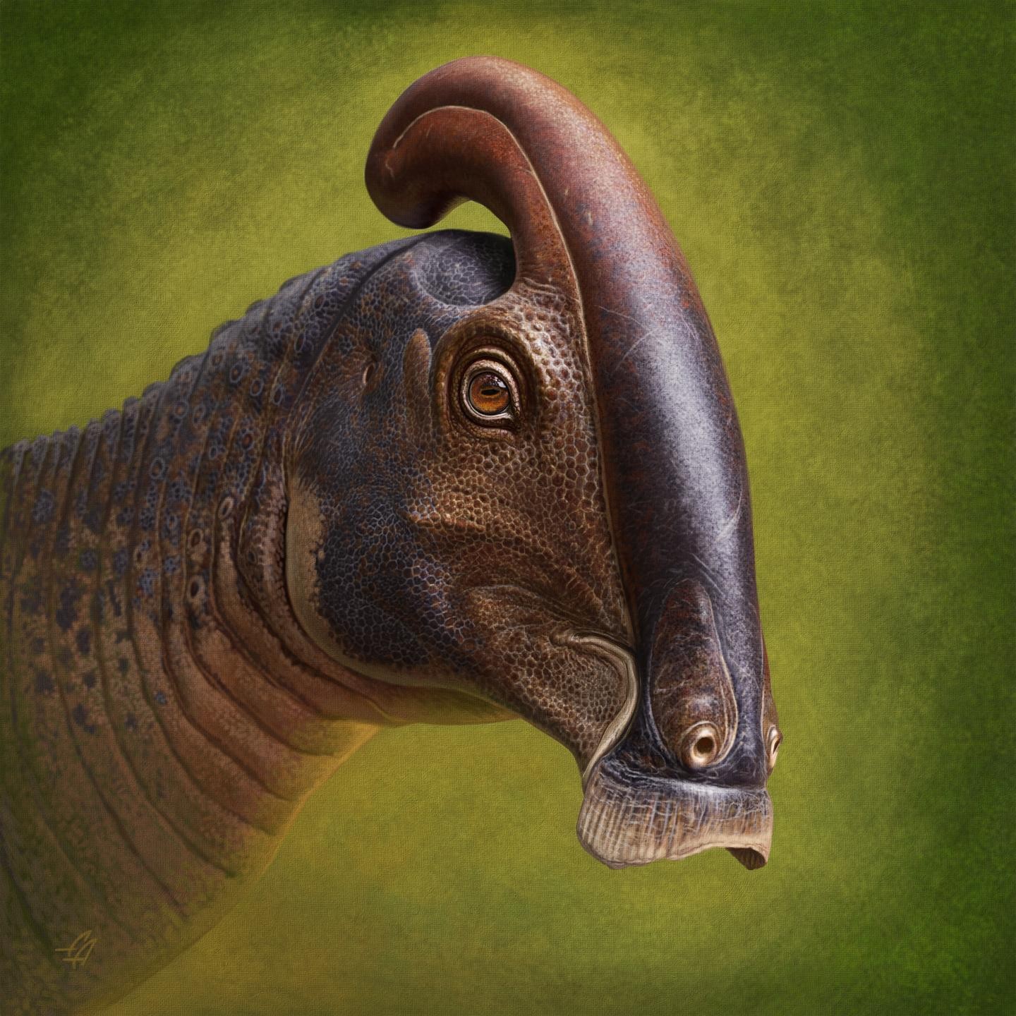 Reconstrução de vida da cabeça de Parasaurolophus cyrtocristatus com base em restos recém-descobertos (Foto: Andrey Atuchin)