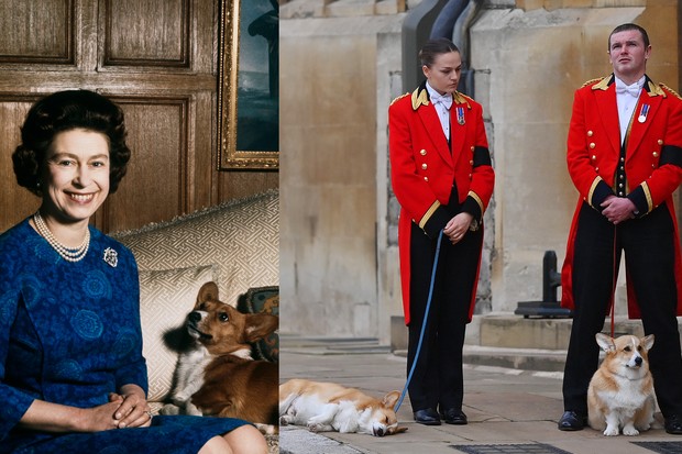 Os Corgis da rainha Elizabeth II (Foto: Getty Images)
