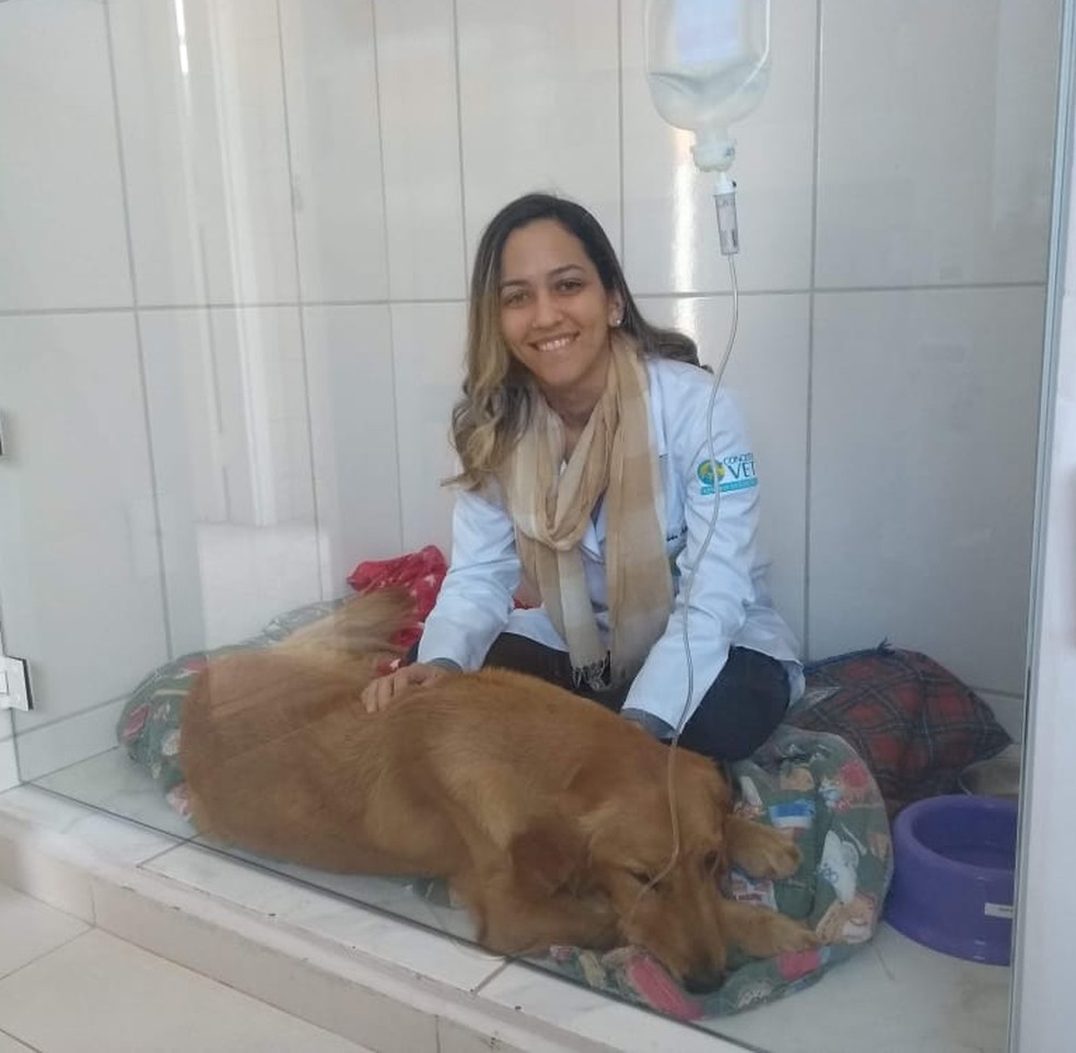 Daniela acompanhou Gaya por uma semana até o diganóstico — Foto: Daniela Ferreira/Arquivo Pessoal