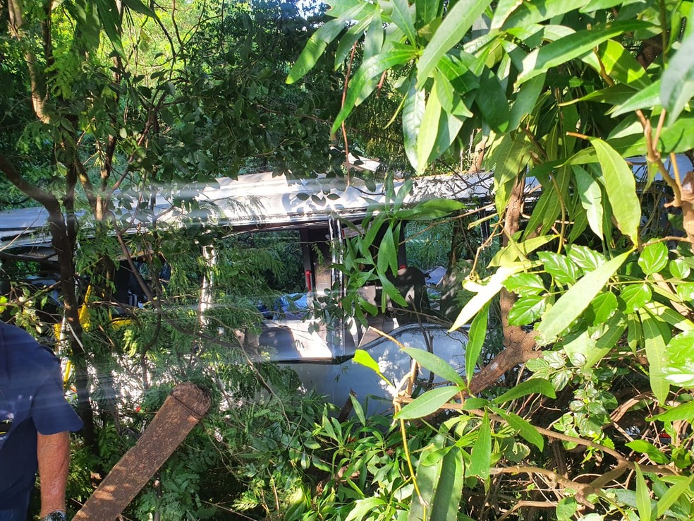 Ônibus saiu da pista e parou em uma região de mata — Foto: Amanda Guedes/RPC