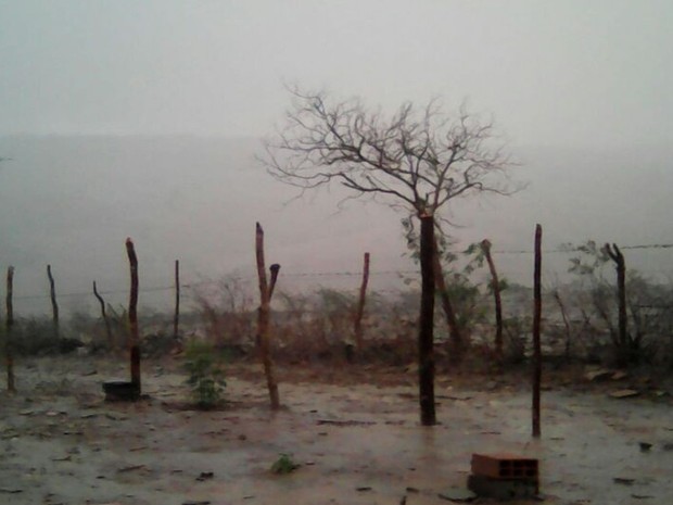 Chuva alivia seca no Sertão de Sergipe (Foto: Humberto Diniz)