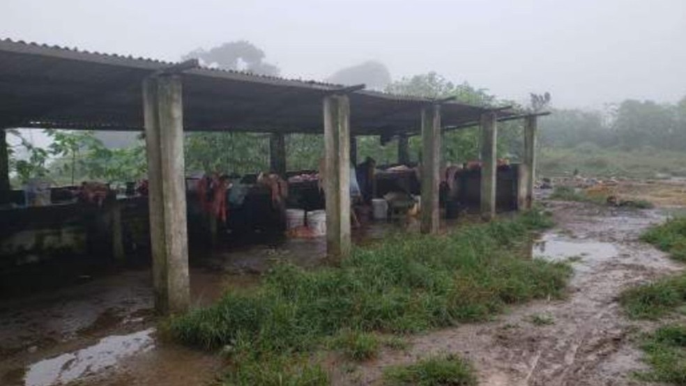 Matadouro funcionava em s&iacute;tio na zona rural do munic&iacute;pio de Bananeiras, conforme o MPPB &mdash; Foto: MPPB/Divulga&ccedil;&atilde;o