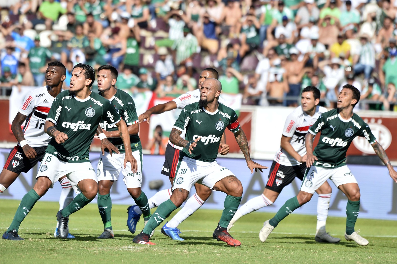 Análise: o que funciona e o que ainda precisa melhorar no Palmeiras de Luxemburgo