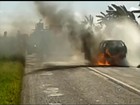 Viatura da Polícia Civil pega fogo após colisão com caminhão em Boracéia