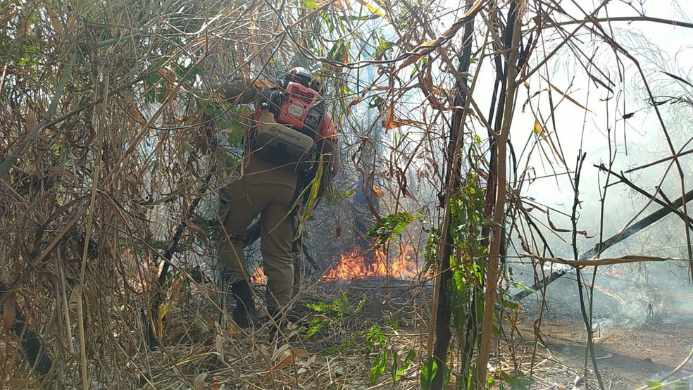 Bombeiros atuam no combate a incêndio em reserva indígena em Rondonópolis — Foto: Corpo de Bombeiros/MT