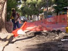 Rua do Espinheiro, no Recife, tem faixa interditada por quatro meses