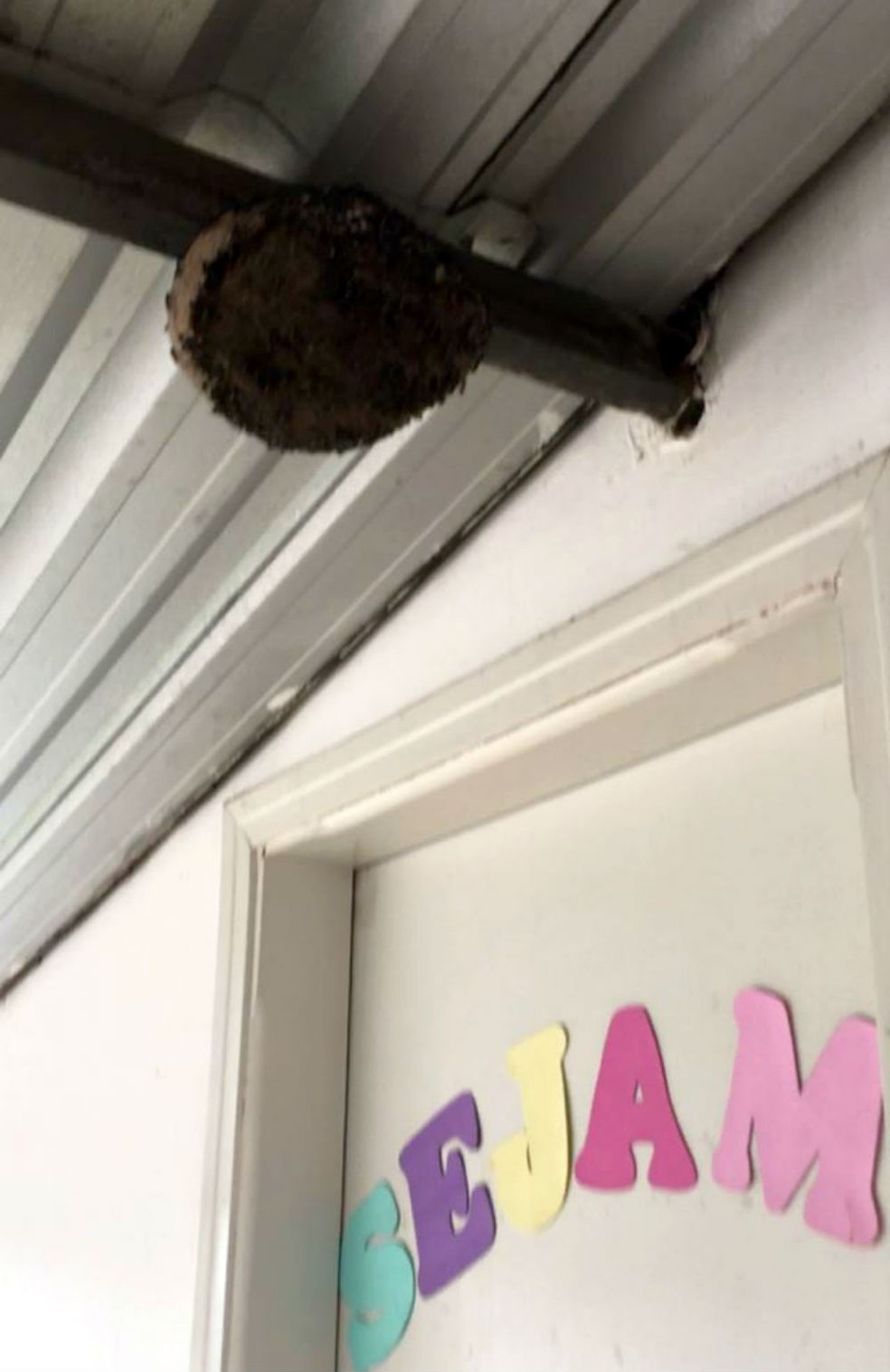 Marimbondos achados próximo à entrada de creche preocuparam os fiscais do TCE — Foto: TCE/Divulgação