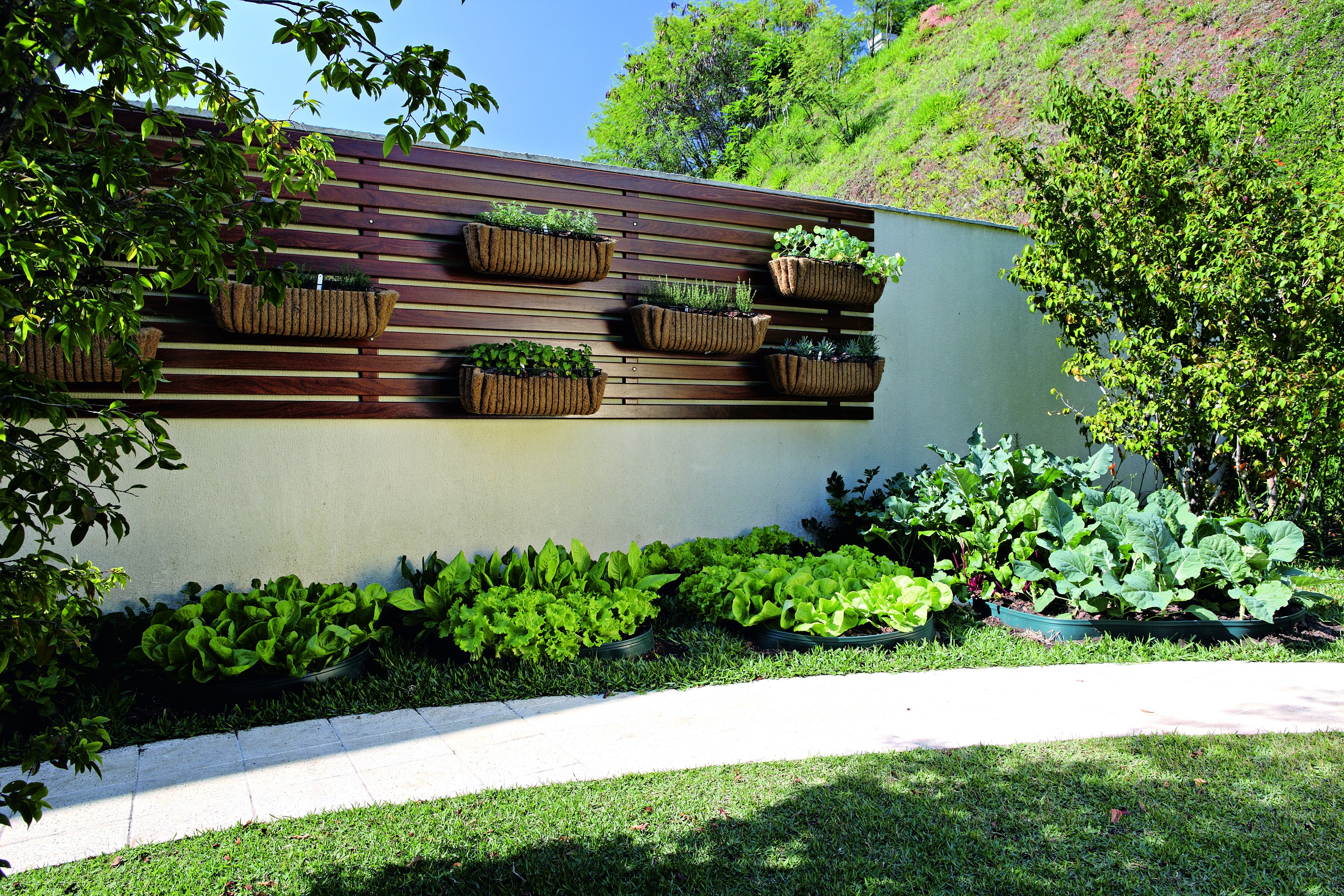 Uma horta orgânica que é um luxo (Foto: Edu Castello/)