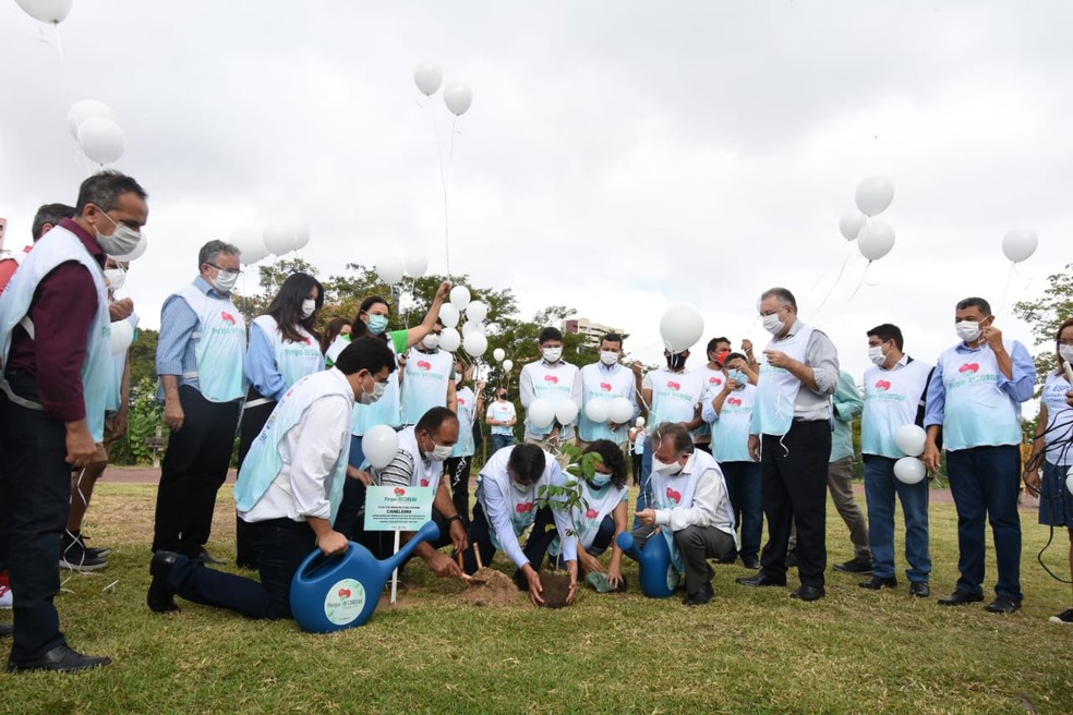 Na ocasião, foi assinada uma ordem de serviço para reformas no Parque Potycabana, na Zona Leste da cidade, além do plantio de mudas como parte do projeto “Parque Recordar: uma árvore em memória de cada vítima da Covid-19”. — Foto: Divulgação/CCOM
