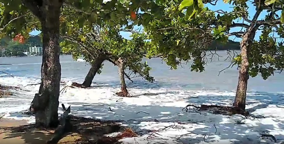 Maré alta destrói vegetação na Praia do Centro em Caraguá. — Foto: Hudson Oliveira/Vanguarda Repórter