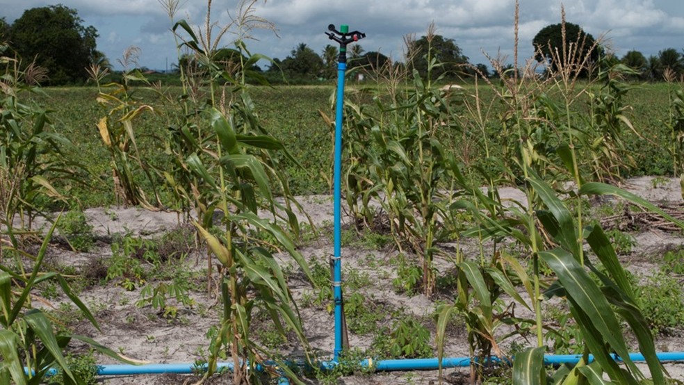 Produtora rural quitou dívida de R$ 220 mil pagando R$ 22 mil (Foto: Gilvanete Farias/Arquivo Pessoal)