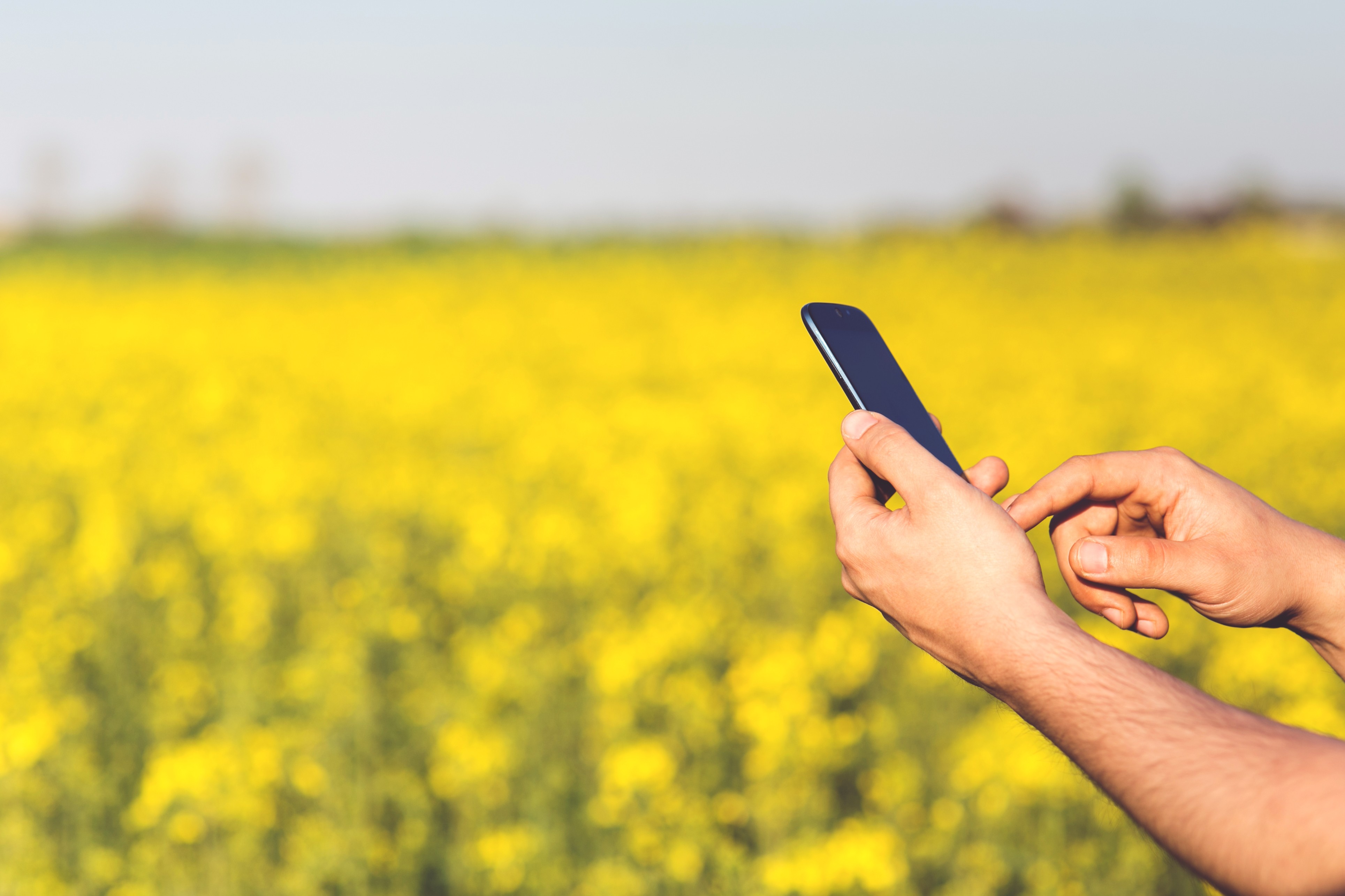 Aplicativos para celular podem otimizar a produção agrícola (Foto: Pxhere/Creative Commons)