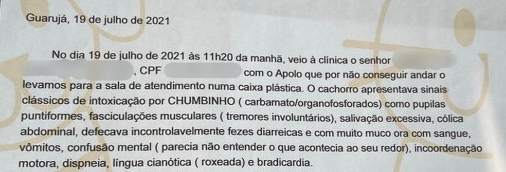 Atestado veterinário pontua que cachorro apresentava 'sinais clássicos de intoxicação por chumbinho' — Foto: Arquivo Pessoal