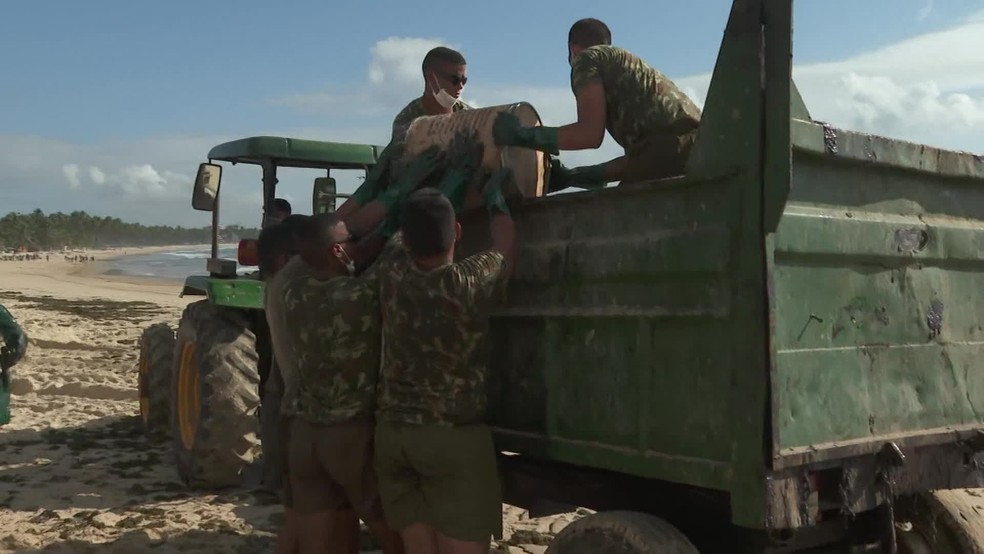 Exército ajuda na retirada do óleo das praias do Cabo de Santo Agostinho — Foto: Reprodução/TV Globo