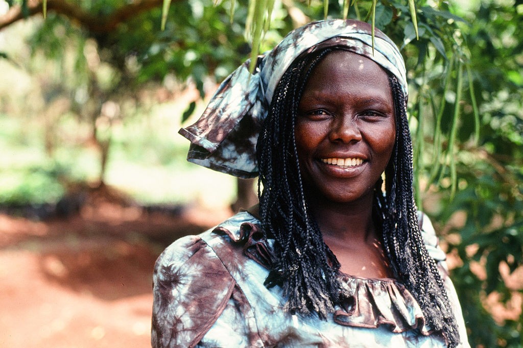 Kenyan environmental and political activist Wangari Maathai was the first African woman to receive the Nobel Peace Prize for her contribution to sustainable development, democracy and peace. In the 1970s, Maathai founded the Green Belt Movement, an enviro (Foto: Corbis via Getty Images)